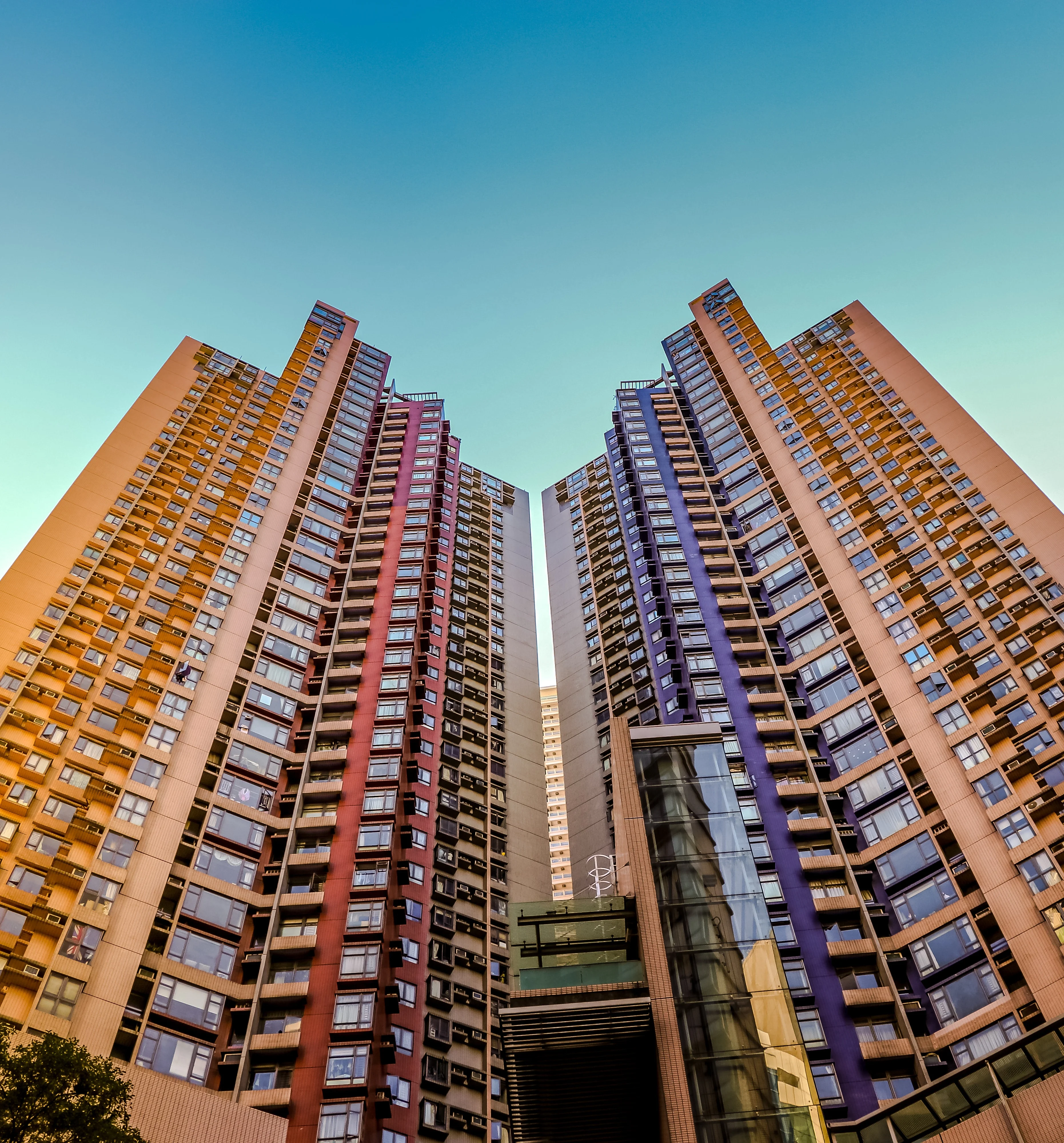 The Bigha Real Estate