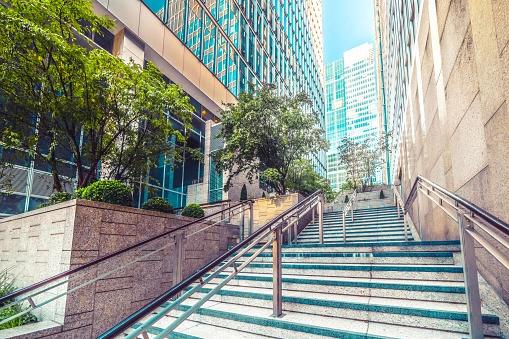 About The Bigha Real Estate